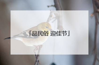 品民俗 迎佳节