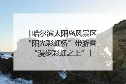 哈尔滨太阳岛风景区“阳光彩虹桥”带游客“漫步彩虹之上”