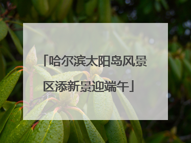 哈尔滨太阳岛风景区添新景迎端午