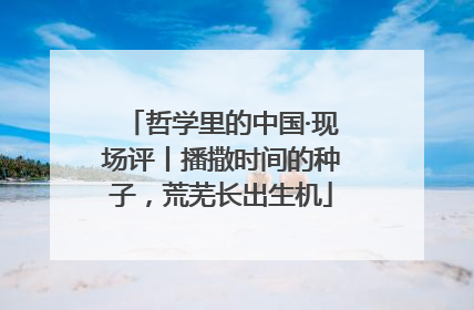 哲学里的中国·现场评丨播撒时间的种子，荒芜长出生机