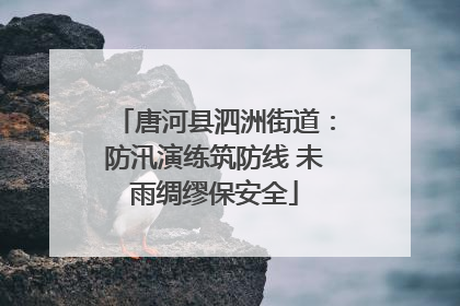 唐河县泗洲街道：防汛演练筑防线 未雨绸缪保安全