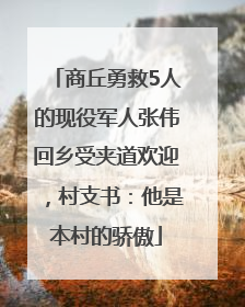 商丘勇救5人的现役军人张伟回乡受夹道欢迎，村支书：他是本村的骄傲