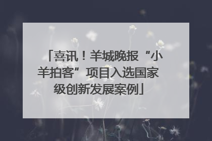 喜讯！羊城晚报“小羊拍客”项目入选国家级创新发展案例