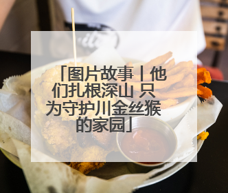 图片故事丨他们扎根深山 只为守护川金丝猴的家园