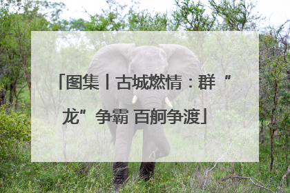 图集丨古城燃情：群“龙”争霸 百舸争渡