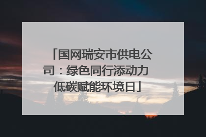 国网瑞安市供电公司：绿色同行添动力 低碳赋能环境日