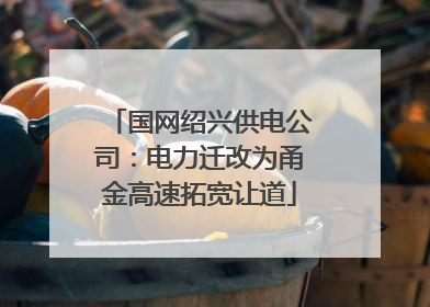 国网绍兴供电公司：电力迁改为甬金高速拓宽让道