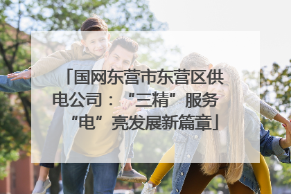 国网东营市东营区供电公司：“三精”服务“电”亮发展新篇章