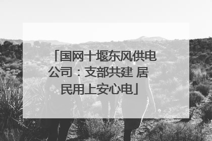 国网十堰东风供电公司：支部共建 居民用上安心电