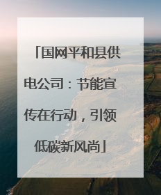 国网平和县供电公司：节能宣传在行动，引领低碳新风尚