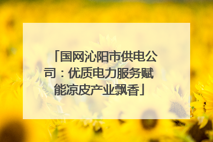 国网沁阳市供电公司：优质电力服务赋能凉皮产业飘香