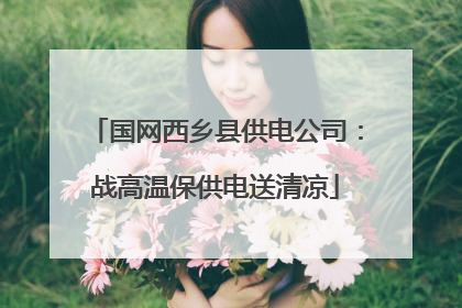 国网西乡县供电公司：战高温保供电送清凉