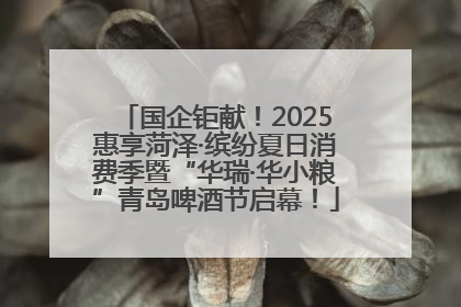 国企钜献！2025惠享菏泽·缤纷夏日消费季暨“华瑞·华小粮”青岛啤酒节启幕！
