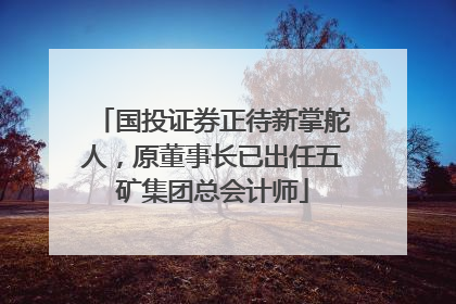 国投证券正待新掌舵人，原董事长已出任五矿集团总会计师