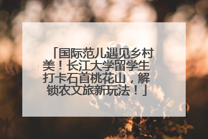 国际范儿遇见乡村美！长江大学留学生打卡石首桃花山，解锁农文旅新玩法！