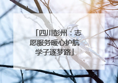 四川彭州：志愿服务暖心护航学子逐梦路