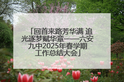 回首来路芳华满 追光逐梦赋华章——六安九中2025年春学期工作总结大会