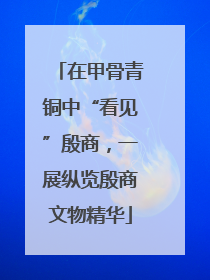 在甲骨青铜中“看见”殷商，一展纵览殷商文物精华