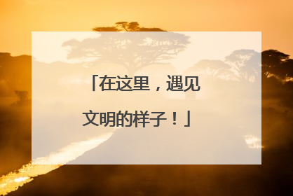 在这里，遇见文明的样子！