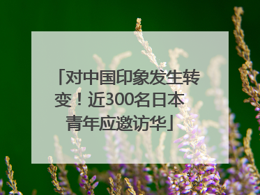 对中国印象发生转变！近300名日本青年应邀访华