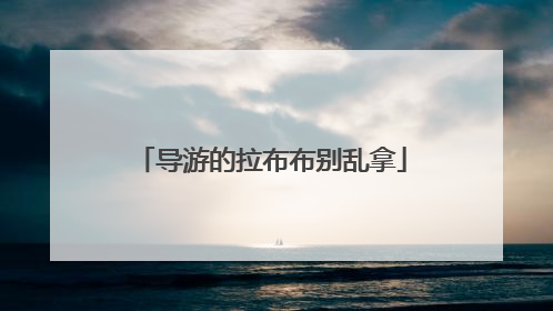 导游的拉布布别乱拿