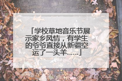 学校草地音乐节展示家乡风情，有学生的爷爷直接从新疆空运了一头羊……