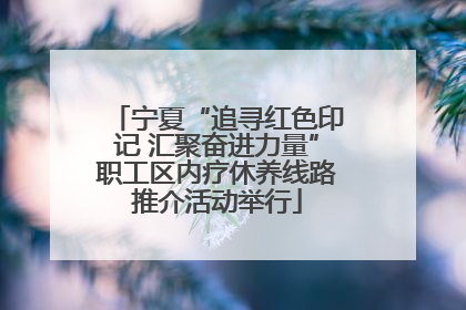 宁夏“追寻红色印记 汇聚奋进力量”职工区内疗休养线路推介活动举行