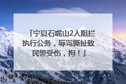 宁夏石嘴山2人阻拦执行公务，辱骂撕扯致民警受伤，拘！