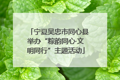 宁夏吴忠市同心县举办“粽韵同心·文明同行”主题活动