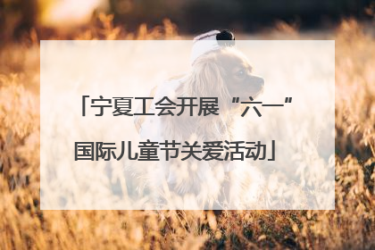 宁夏工会开展“六一”国际儿童节关爱活动