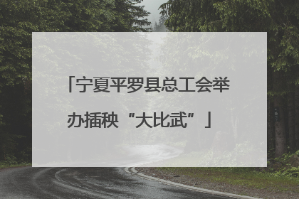 宁夏平罗县总工会举办插秧“大比武”