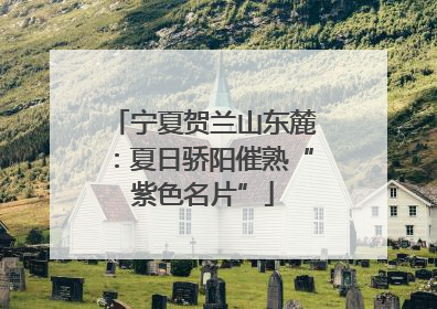 宁夏贺兰山东麓：夏日骄阳催熟“紫色名片”