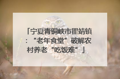 宁夏青铜峡市瞿靖镇：“老年食堂”破解农村养老“吃饭难”