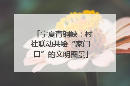 宁夏青铜峡：村社联动共绘“家门口”的文明图景