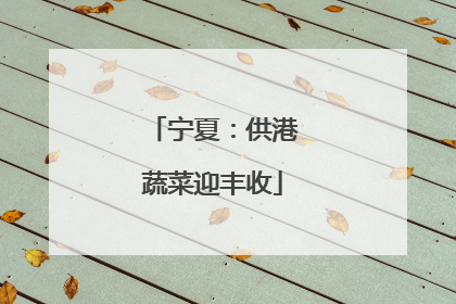宁夏：供港蔬菜迎丰收