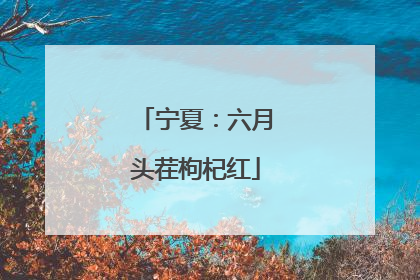 宁夏：六月头茬枸杞红
