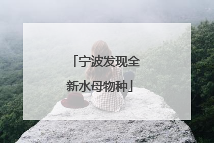宁波发现全新水母物种