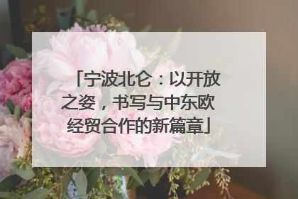 宁波北仑：以开放之姿，书写与中东欧经贸合作的新篇章