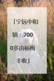 宁远中和镇：7000多亩杨梅丰收