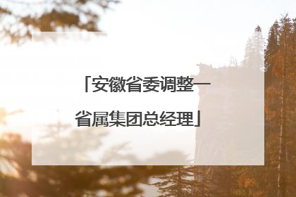 安徽省委调整一省属集团总经理