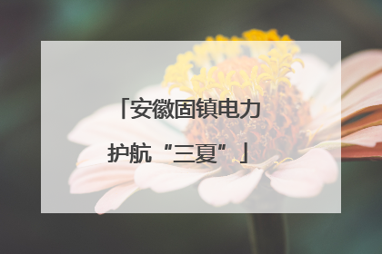 安徽固镇电力护航“三夏”