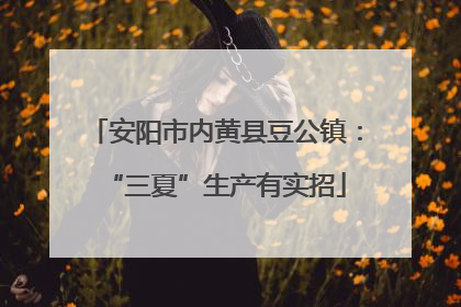 安阳市内黄县豆公镇：“三夏”生产有实招