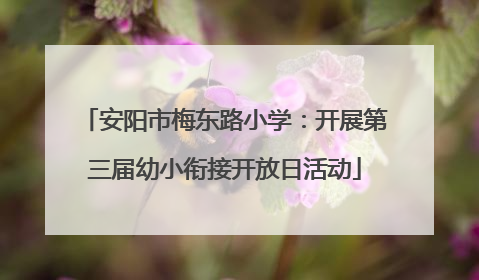 安阳市梅东路小学：开展第三届幼小衔接开放日活动