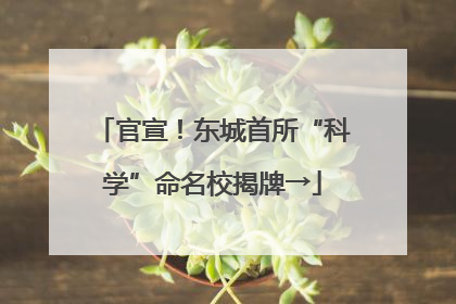 官宣！东城首所“科学”命名校揭牌→
