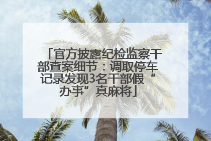 官方披露纪检监察干部查案细节：调取停车记录发现3名干部假“办事”真麻将