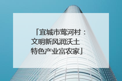 宜城市莺河村：文明新风润沃土 特色产业富农家