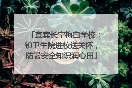 宜宾长宁梅白学校：镇卫生院进校送关怀，防暑安全知识润心田