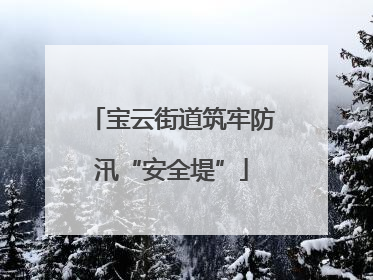 宝云街道筑牢防汛“安全堤”