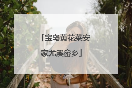 宝岛黄花菜安家尤溪畲乡