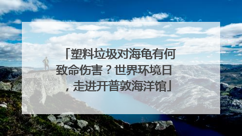 塑料垃圾对海龟有何致命伤害？世界环境日，走进开普敦海洋馆